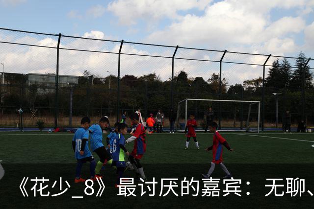 《花少 8》最讨厌的嘉宾：无聊、殷勤、没边界，殷桃看都不想看他