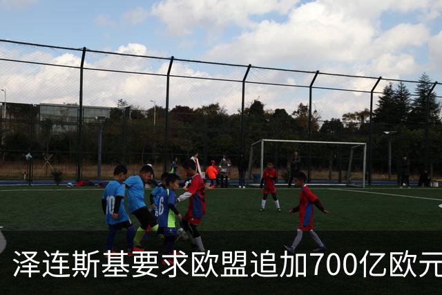 泽连斯基要求欧盟追加700亿欧元援助