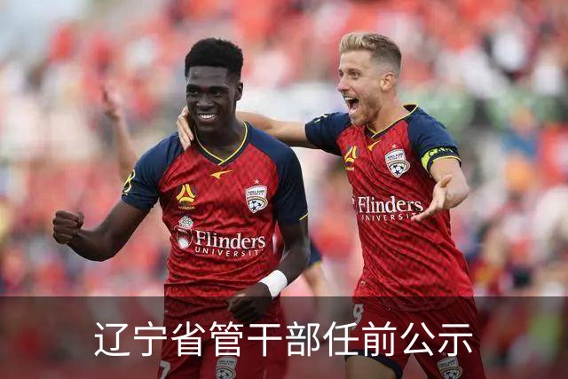 辽宁省管干部任前公示